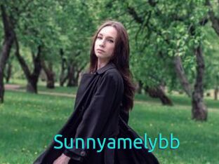 Sunnyamelybb