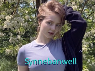 Synnebanwell