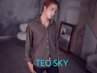 TEO_SKY