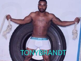 TONYBRANDT