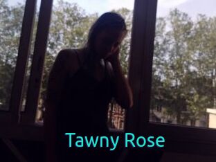 Tawny_Rose