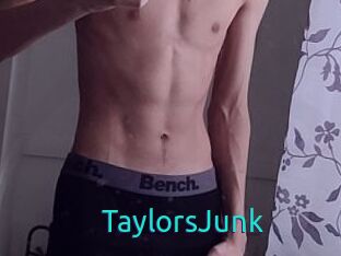 TaylorsJunk