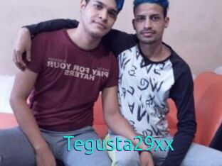 Tegusta29xx