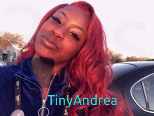 TinyAndrea