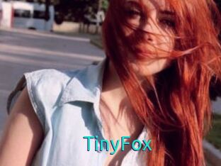TinyFox