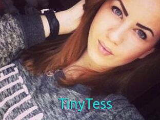 TinyTess