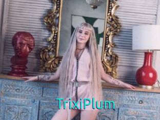 TrixiPlum