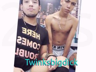 Twinksbigdick