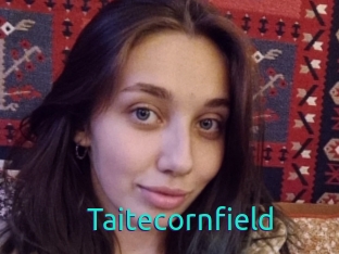 Taitecornfield