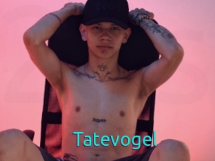 Tatevogel