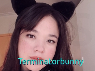 Terminatorbunny