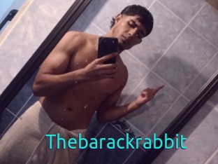 Thebarackrabbit