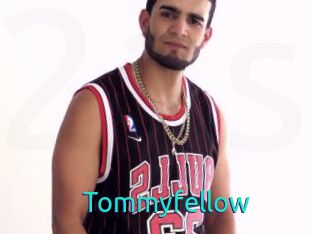 tommyfellow 21 sextury Link