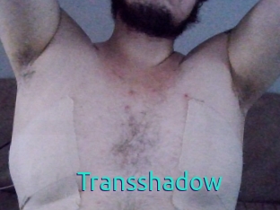 Transshadow