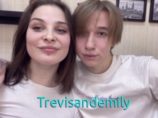 Trevisandemily