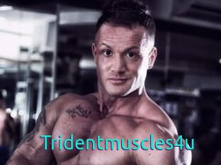 Tridentmuscles4u