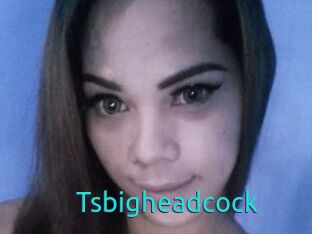 Tsbigheadcock
