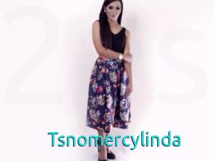 Tsnomercylinda