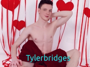 Tylerbridges