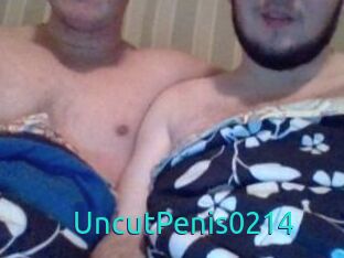 UncutPenis0214