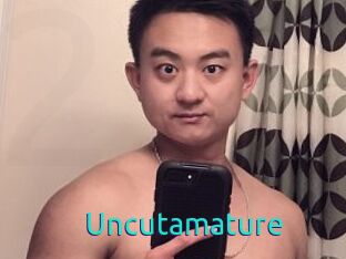 Uncutamature 21 sextury Link