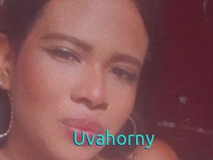 Uvahorny