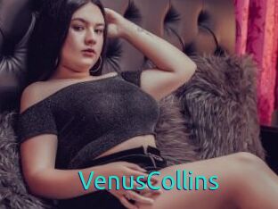 VenusCollins