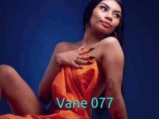 Vane_077