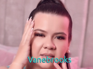 Vanebrooks