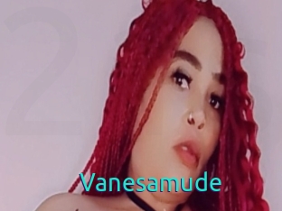 Vanesamude