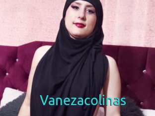 Vanezacolinas