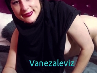 Vanezaleviz