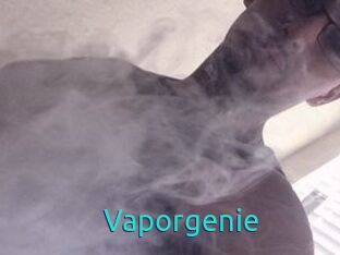 Vapor_genie