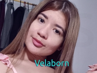 Velaborn