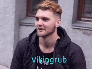 Vikingrub