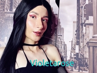 Violetarose