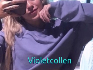 Violetcollen