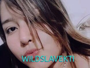 WILDSLAVEKTI