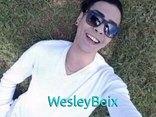 Wesley_Boix