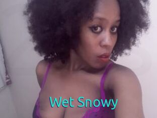 Wet_Snowy