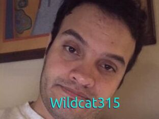 Wildcat315