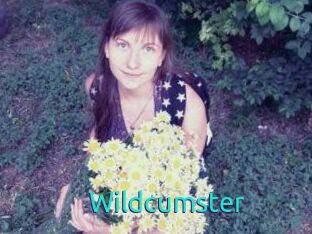 Wildcumster