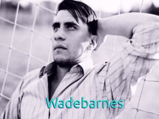 Wadebarnes