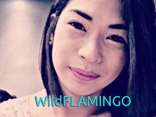 WildFLAMINGO
