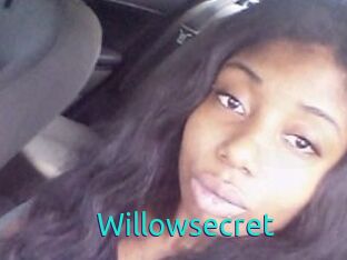 Willow_secret