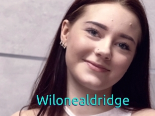 Wilonealdridge