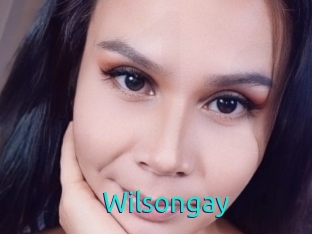 Wilsongay