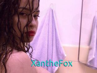 Xanthe_Fox