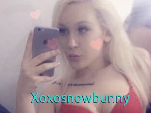 Xoxosnowbunny