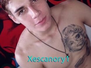 Xescanory1